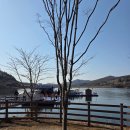 라임코스 | 파주 마장호수 반려견 동반산책 코스, 조이 라임이랑 주말 산책 후기