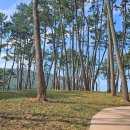 (구)옥동초 이미지