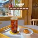 덕포진 한옥마을 | 김포 카페 추천 카페연 덕포진 근처 예쁜 한옥카페 책읽기 좋은 카페