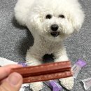 씨유덴탈 이미지