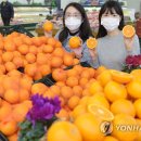 비타민마트 이미지