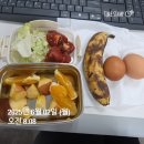 일일체험하고 드러누워서 쓰는 &lt;크로스핏 후기&gt;/헬스 크로스핏 차이점 비교_25.06.02 운동,식단
