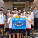 벽진중학교 이미지