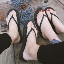 019-3 이미지