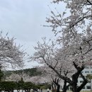 해사분식
