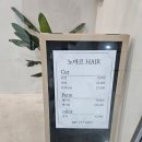 노마르 헤어 이미지