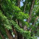 도암마을회관 이미지