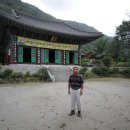 용문산약초 Daum카페