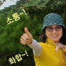 코로나펜션 이미지