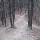 봉무공원 만보산책로 이미지