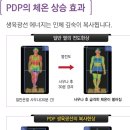 바이오포톤
