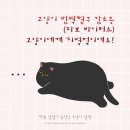 더클래스동물메디컬센터 이미지