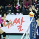 흥국생명 이미지