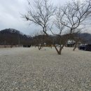 고릴라펜션 이미지