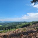 구천농장 이미지