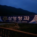삼양청과 - 강북구 삼양로 241 | 삼양청과