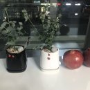 참손길지압힐링센터 이미지