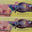 브릭스 제주 이미지