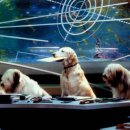 캣츠앤독스 이미지