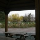 산수유동물병원 이미지