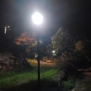 가로등슈퍼 이미지