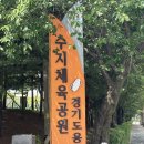 수지체육공원 농구장 이미지