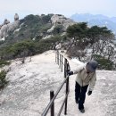 능선코스(불광역-대호아파트-족두리봉-향로봉-비봉-사모바위-승가봉-대남문-구기탐방지원센터) 등산 후기