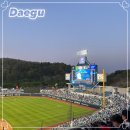 나영파크 | 대구 삼성라이온즈파크 U5 12열 토요일 주말 경기 가족과 함께
