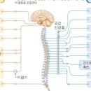 모현프라자약국 이미지