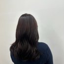 GS25 하빈현내점 | [24년 10월] 월말결산 나 이제 11월부터 진짜 금주할거야....