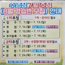 망마체육센터수영장 이미지