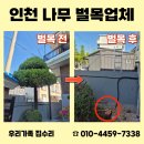 남동47 | 인천 남동구 벌목업체 나무제거 전지 가지치기 비용