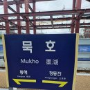 동해 묵호항 가족 여행! 묵호수변공원 오징어회 시세/어판장새벽아침경매시장시간/활어센터 대게 홍게...