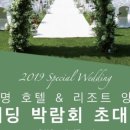 쇼위플로라