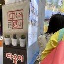 시옷트래블