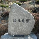 안심초등학교 이미지