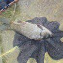 새미 낚시터 이미지