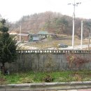 대덕이발 Daum카페