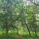 진산목장 이미지