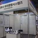 와이 앤 엠
