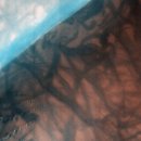화성(火星)의 먼지 악마 이미지