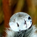 신탁행정사사무소 이미지