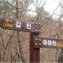 광영 농장 이미지