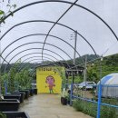 정례농장 이미지