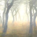 우리친구 이미지