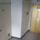 하단동205 이미지