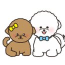 슬기로운 동물병원 이미지