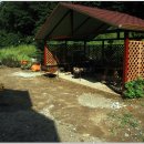 양지민박 이미지