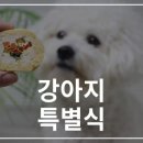 멍멍이 다과점 이미지