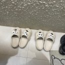 몽심살롱